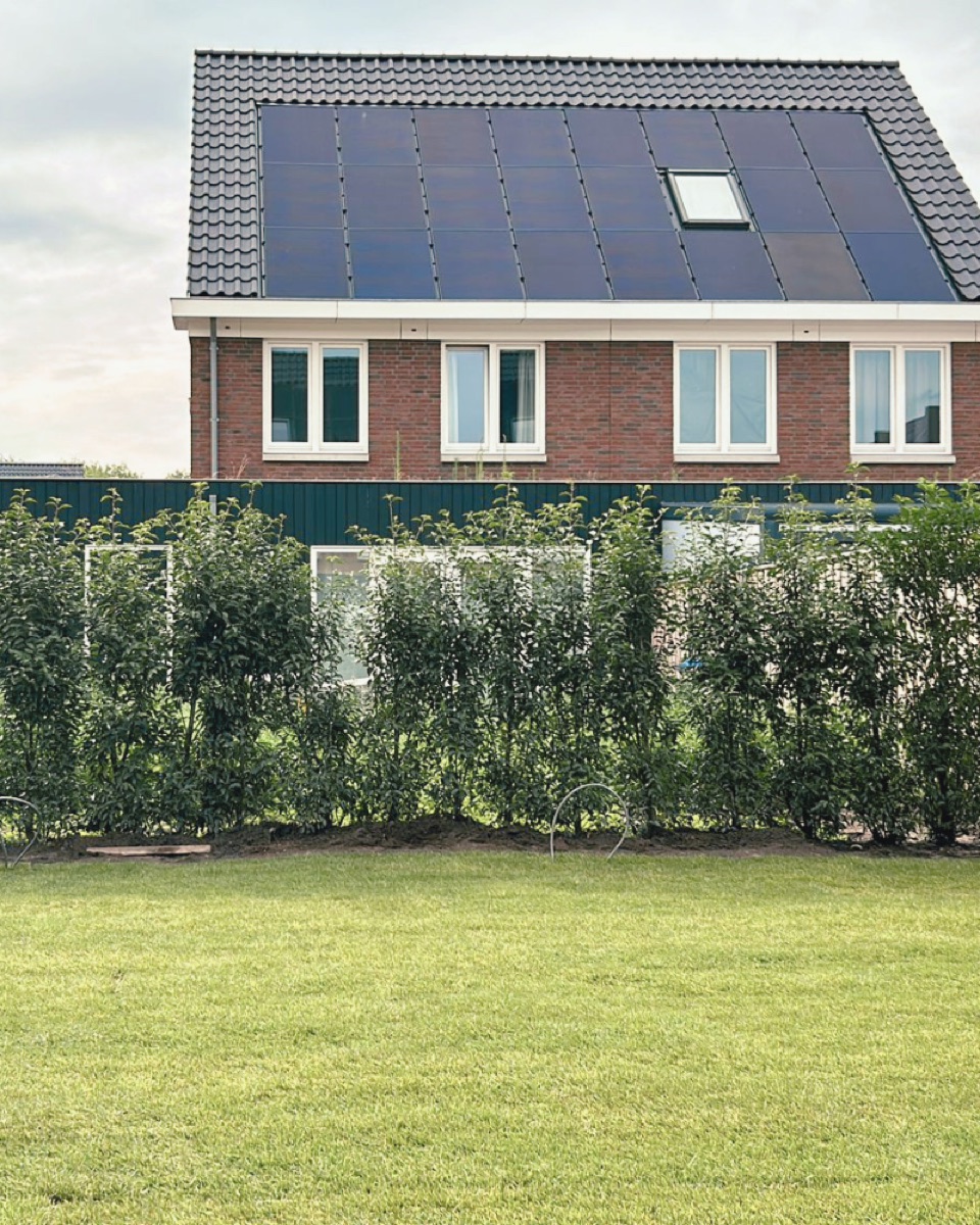 Eigen huis